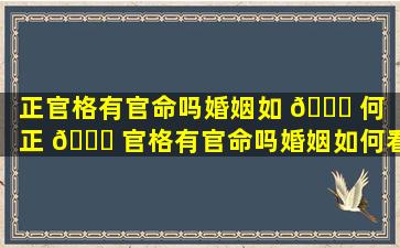 正官格有官命吗婚姻如 🐈 何（正 🐛 官格有官命吗婚姻如何看）